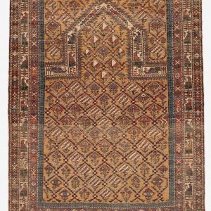 Schirwan Marasalli Teppich – Bild 6