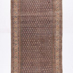 Shirvan Rug - Image 6