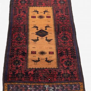 Belutsch Teppich – Bild 3
